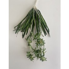 Rüzgâr Yapay Çiçekçilik 60 cm Kurdele Sarmaşığı