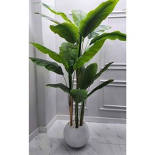 Rüzgar Yapay Çiçekçilik Fiber Saksıda Muz Ağacı