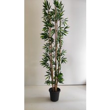 Rüzgar Yapay Çiçekçilik 170 cm Bambu Ağacı
