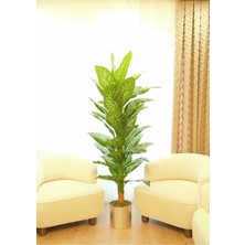 Rüzgar Yapay Çiçekçilik 170 cm Difenbahya 25X25 Silver Saksı