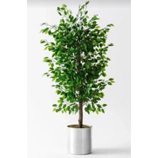 Rüzgar Yapay Çiçekçilik 140 cm Benjamin Ağacı