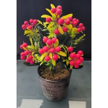 Rüzgar Yapay Çiçekçilik Seramik Saksıda Kokina