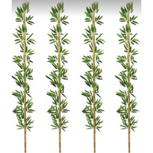 Rüzgar Yapay Çiçekçilik 220 cm Bambu 4 Adet