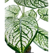 Rüzgar Çiçekçilik Yapay Difenbahya Yeşil Beyaz Damarlı 12 Dal 65 cm