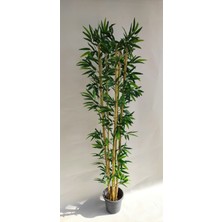 Rüzgar Yapay Çiçekçilik 5 Li Bambu 180 cm