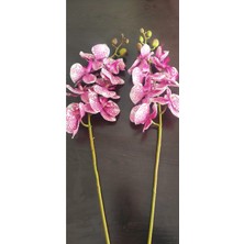 Rüzgar Çiçekcilik Islak Doku Orkide