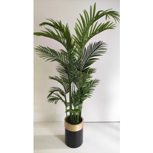 Rüzgar Yapay Çiçekçilik 2 Metre Areka Ağacı