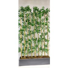Rüzgar Yapay Çiçekçilik 170 cm Bambu Seperatör