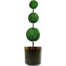 Rüzgar Yapay Çiçekçilik 3 Lü Şimşir Top Siyah Gold Saksida