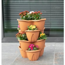 Rüzgar Yapay Çiçekçilik Serinova Pamukkale Saksı 4 Lü Set 12.5 Litre