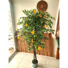 Yapay Limon Ağacı Doğal Yapraklı 1.50 mt Boy Yoğun Büyük Limon Meyveli Limon Çiçeği