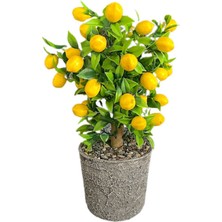 Rüzgar Yapay Çicekcilik Limon Ağacı