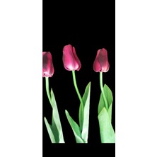 Rüzgar Yapay Çiçekçilik 70 cm Islak Lale