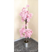 Rüzgar Çiçekcilik 1 Metre Pembe Renk Bahardali