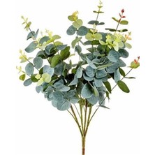 Rüzgar Çiçekçilik Doğal Görünümlü Okaliptüs