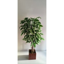 Rüzgar Yapay Çiçekçilik 160 cm Mdf Saksıda Ceviz Ağacı