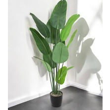 Rüzgar Yapay Çiçekçilik 180 cm Starliçe 12 Yaprak