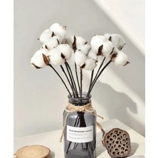 Rüzgar Yapay Çiçekçilik Dekoratif Pamuk 5 Li