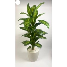 Rüzgar Yapay Çiçekçilik 180 cm Difenbahya Ağacı Yakut Saksıda