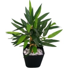 Orjinal Yapay Bambu Ağaç Siyah Askılı Saksıda 33 cm Boyunda Askılı Çiçek