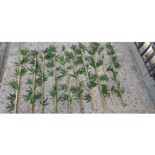 Rüzgar Yapay Çiçekcilik 10 Adet 1 Metre Bambu