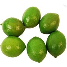 Rüzgar Çiçekcilik Yeşil Limon
