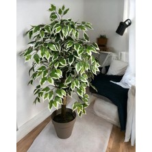 Rüzgar Yapay Çiçekçilik 100 cm Ficus Ağacı Yalı Saksılı