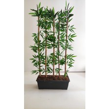 Rüzgar Yapay Çiçekçilik 100 cm 5 Li Bambu Ağacı