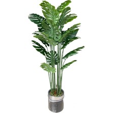 Rüzgar Yapay Çiçekçilik 2.20 Monstera Ağacı