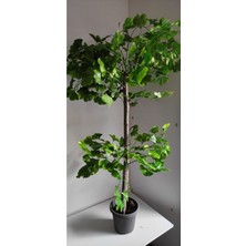 Rüzgar Çiçekcilik 150 cm Sakura Ağacı