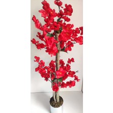 Rüzgar Çiçekcilik 1 Metre Kırmızı Bahardali