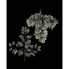 Rüzgar Yapay Çiçekçilik 12 Adet Ficus Demeti