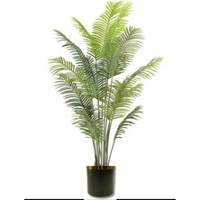 Rüzgar Yapay Çiçekçilik 180 cm Areka Ağacı