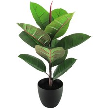Rüzgar Yapay Çiçekçilik 75 cm Kauçuk Ağacı