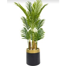 Rüzgar Yapay Çiçekçilik 160 cm Areka Ağacı