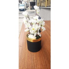 Rüzgar Çiçekcilik 12.12 Saksıda Bahardali