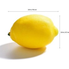 Rüzgar Çiçekcilik Limon