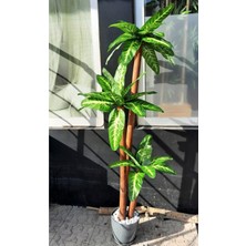 Yapay Difenbahya Ağacı 3 Gövdeli 1.80 mt Boy Islak Doku Büyük Yeşil Yapraklı Ağaç