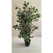 Rüzgar Yapay Çiçekçilik 100 cm Yeşil Beyaz Benjamin Ağacı