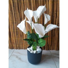 Yapay Zambak Lilyum Çiçeği 40 cm Boy Beyaz Zambak Bitkisi Salon Ev Mekan Bitkisi Antrasit Saksı