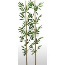 Rüzgar Çiçekçilik 120 cm Bambu 4 Adet