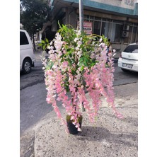 Rüzgar Yapay Çiçekçilik 120 cm Pembe Akasya Ağacı