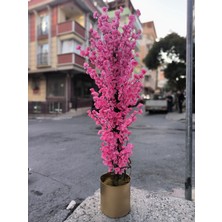 Rüzgar Yapay Çiçekçilik 160 cm Gold Saksida Pembe Bahardali Ağacı