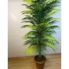 Rüzgar Yapay Çiçekçilik 150 cm Palmiye Ağacı