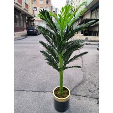 Rüzgar Yapay Çiçekçilik 170 Santim Areka Ağacı