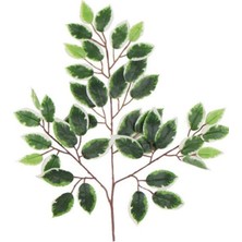 Rüzgar Çiçekcilik Ficus Yaprağı