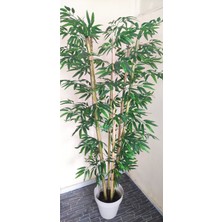 Rüzgar Çiçekcilik 170 cm 6 Gövdeli Bambu
