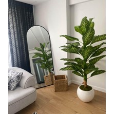 Rüzgar Yapay Çiçekçilik 170 cm Dieffenbachia Ağacı