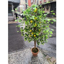 Rüzgar Yapay Çiçekçilik 130 cm Limon Ağacı