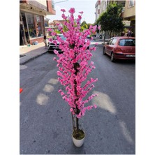 Rüzgar Yapay Çiçekçilik 175 cm Beyaz Saksida Pembe Bahardali Ağacı